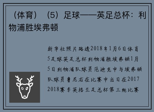 （体育）（5）足球——英足总杯：利物浦胜埃弗顿